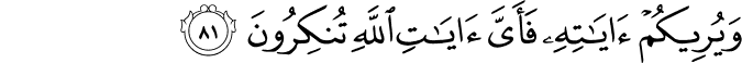 وَيُرِيكُمْ آيَاتِهِ فَأَيَّ آيَاتِ اللَّهِ تُنكِرُونَ