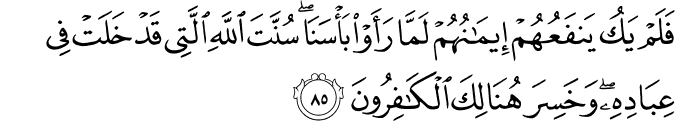 فَلَمْ يَكُ يَنفَعُهُمْ إِيمَانُهُمْ لَمَّا رَأَوْا بَأْسَنَا ۖ سُنَّتَ اللَّهِ الَّتِي قَدْ خَلَتْ فِي عِبَادِهِ ۖ وَخَسِرَ هُنَالِكَ الْكَافِرُونَ