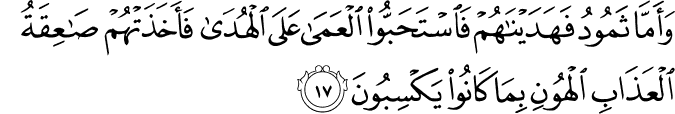 وَأَمَّا ثَمُودُ فَهَدَيْنَاهُمْ فَاسْتَحَبُّوا الْعَمَىٰ عَلَى الْهُدَىٰ فَأَخَذَتْهُمْ صَاعِقَةُ الْعَذَابِ الْهُونِ بِمَا كَانُوا يَكْسِبُونَ