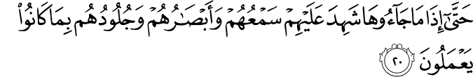 حَتَّىٰ إِذَا مَا جَاءُوهَا شَهِدَ عَلَيْهِمْ سَمْعُهُمْ وَأَبْصَارُهُمْ وَجُلُودُهُم بِمَا كَانُوا يَعْمَلُونَ