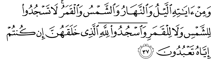 وَمِنْ آيَاتِهِ اللَّيْلُ وَالنَّهَارُ وَالشَّمْسُ وَالْقَمَرُ ۚ لَا تَسْجُدُوا لِلشَّمْسِ وَلَا لِلْقَمَرِ وَاسْجُدُوا لِلَّهِ الَّذِي خَلَقَهُنَّ إِن كُنتُمْ إِيَّاهُ تَعْبُدُونَ