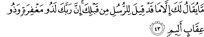 مَّا يُقَالُ لَكَ إِلَّا مَا قَدْ قِيلَ لِلرُّسُلِ مِن قَبْلِكَ ۚ إِنَّ رَبَّكَ لَذُو مَغْفِرَةٍ وَذُو عِقَابٍ أَلِيمٍ