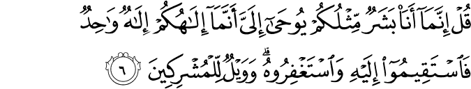 قُلْ إِنَّمَا أَنَا بَشَرٌ مِّثْلُكُمْ يُوحَىٰ إِلَيَّ أَنَّمَا إِلَـٰهُكُمْ إِلَـٰهٌ وَاحِدٌ فَاسْتَقِيمُوا إِلَيْهِ وَاسْتَغْفِرُوهُ ۗ وَوَيْلٌ لِّلْمُشْرِكِينَ