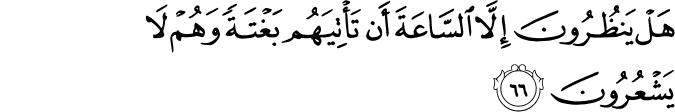 هَلْ يَنظُرُونَ إِلَّا السَّاعَةَ أَن تَأْتِيَهُم بَغْتَةً وَهُمْ لَا يَشْعُرُونَ