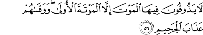 لَا يَذُوقُونَ فِيهَا الْمَوْتَ إِلَّا الْمَوْتَةَ الْأُولَىٰ ۖ وَوَقَاهُمْ عَذَابَ الْجَحِيمِ
