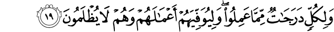 وَلِكُلٍّ دَرَجَاتٌ مِّمَّا عَمِلُوا ۖ وَلِيُوَفِّيَهُمْ أَعْمَالَهُمْ وَهُمْ لَا يُظْلَمُونَ وَلِكُلٍّ دَرَجَاتٌ مِّمَّا عَمِلُوا ۖ وَلِيُوَفِّيَهُمْ أَعْمَالَهُمْ وَهُمْ لَا يُظْلَمُونَ