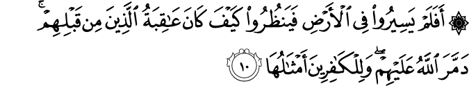 أَفَلَمْ يَسِيرُوا فِي الْأَرْضِ فَيَنظُرُوا كَيْفَ كَانَ عَاقِبَةُ الَّذِينَ مِن قَبْلِهِمْ ۚ دَمَّرَ اللَّهُ عَلَيْهِمْ ۖ وَلِلْكَافِرِينَ أَمْثَالُهَا