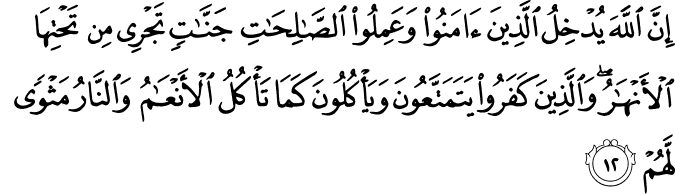 إِنَّ اللَّهَ يُدْخِلُ الَّذِينَ آمَنُوا وَعَمِلُوا الصَّالِحَاتِ جَنَّاتٍ تَجْرِي مِن تَحْتِهَا الْأَنْهَارُ ۖ وَالَّذِينَ كَفَرُوا يَتَمَتَّعُونَ وَيَأْكُلُونَ كَمَا تَأْكُلُ الْأَنْعَامُ وَالنَّارُ مَثْوًى لَّهُمْ