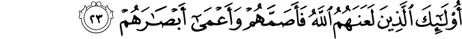 أُولَـٰئِكَ الَّذِينَ لَعَنَهُمُ اللَّهُ فَأَصَمَّهُمْ وَأَعْمَىٰ أَبْصَارَهُمْ