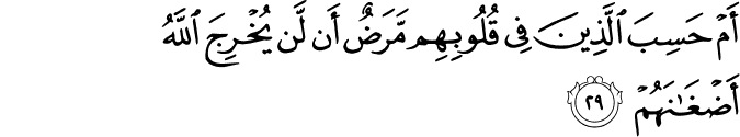 أَمْ حَسِبَ الَّذِينَ فِي قُلُوبِهِم مَّرَضٌ أَن لَّن يُخْرِجَ اللَّهُ أَضْغَانَهُمْ