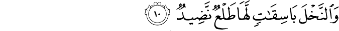 وَالنَّخْلَ بَاسِقَاتٍ لَّهَا طَلْعٌ نَّضِيدٌ