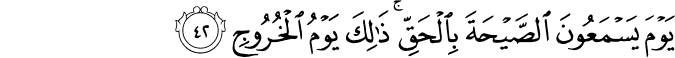 يَوْمَ يَسْمَعُونَ الصَّيْحَةَ بِالْحَقِّ ۚ ذَٰلِكَ يَوْمُ الْخُرُوجِ