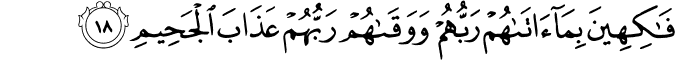 فَاكِهِينَ بِمَا آتَاهُمْ رَبُّهُمْ وَوَقَاهُمْ رَبُّهُمْ عَذَابَ الْجَحِيمِ
