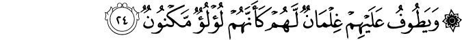 وَيَطُوفُ عَلَيْهِمْ غِلْمَانٌ لَّهُمْ كَأَنَّهُمْ لُؤْلُؤٌ مَّكْنُونٌ