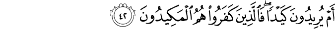 أَمْ يُرِيدُونَ كَيْدًا ۖ فَالَّذِينَ كَفَرُوا هُمُ الْمَكِيدُونَ