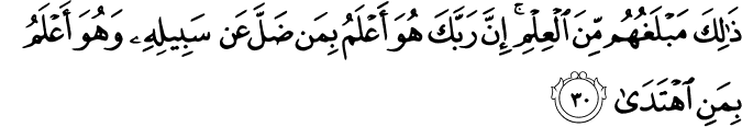 ذَٰلِكَ مَبْلَغُهُم مِّنَ الْعِلْمِ ۚ إِنَّ رَبَّكَ هُوَ أَعْلَمُ بِمَن ضَلَّ عَن سَبِيلِهِ وَهُوَ أَعْلَمُ بِمَنِ اهْتَدَىٰ