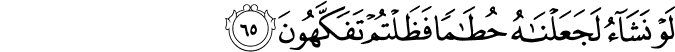 لَوْ نَشَاءُ لَجَعَلْنَاهُ حُطَامًا فَظَلْتُمْ تَفَكَّهُونَ