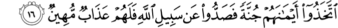 اتَّخَذُوا أَيْمَانَهُمْ جُنَّةً فَصَدُّوا عَن سَبِيلِ اللَّهِ فَلَهُمْ عَذَابٌ مُّهِينٌ