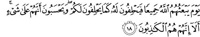يَوْمَ يَبْعَثُهُمُ اللَّهُ جَمِيعًا فَيَحْلِفُونَ لَهُ كَمَا يَحْلِفُونَ لَكُمْ ۖ وَيَحْسَبُونَ أَنَّهُمْ عَلَىٰ شَيْءٍ ۚ أَلَا إِنَّهُمْ هُمُ الْكَاذِبُونَ