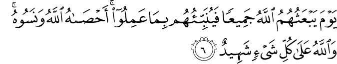 يَوْمَ يَبْعَثُهُمُ اللَّهُ جَمِيعًا فَيُنَبِّئُهُم بِمَا عَمِلُوا ۚ أَحْصَاهُ اللَّهُ وَنَسُوهُ ۚ وَاللَّهُ عَلَىٰ كُلِّ شَيْءٍ شَهِيدٌ