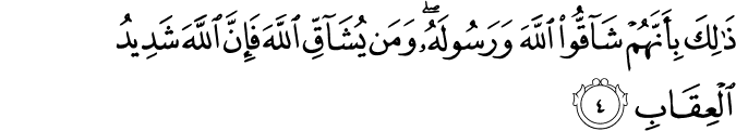 ذَٰلِكَ بِأَنَّهُمْ شَاقُّوا اللَّهَ وَرَسُولَهُ ۖ وَمَن يُشَاقِّ اللَّهَ فَإِنَّ اللَّهَ شَدِيدُ الْعِقَابِ