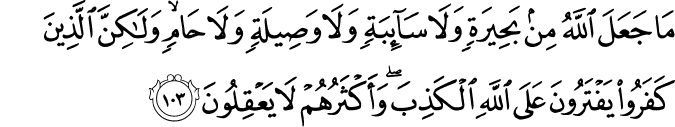 مَا جَعَلَ اللَّهُ مِن بَحِيرَةٍ وَلَا سَائِبَةٍ وَلَا وَصِيلَةٍ وَلَا حَامٍ ۙ وَلَـٰكِنَّ الَّذِينَ كَفَرُوا يَفْتَرُونَ عَلَى اللَّهِ الْكَذِبَ ۖ وَأَكْثَرُهُمْ لَا يَعْقِلُونَ