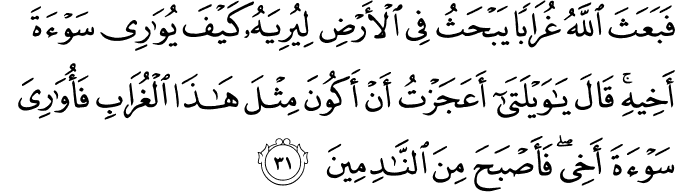 فَبَعَثَ اللَّهُ غُرَابًا يَبْحَثُ فِي الْأَرْضِ لِيُرِيَهُ كَيْفَ يُوَارِي سَوْءَةَ أَخِيهِ ۚ قَالَ يَا وَيْلَتَىٰ أَعَجَزْتُ أَنْ أَكُونَ مِثْلَ هَـٰذَا الْغُرَابِ فَأُوَارِيَ سَوْءَةَ أَخِي ۖ فَأَصْبَحَ مِنَ النَّادِمِينَ