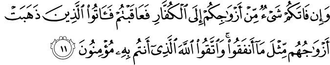 وَإِن فَاتَكُمْ شَيْءٌ مِّنْ أَزْوَاجِكُمْ إِلَى الْكُفَّارِ فَعَاقَبْتُمْ فَآتُوا الَّذِينَ ذَهَبَتْ أَزْوَاجُهُم مِّثْلَ مَا أَنفَقُوا ۚ وَاتَّقُوا اللَّهَ الَّذِي أَنتُم بِهِ مُؤْمِنُونَ