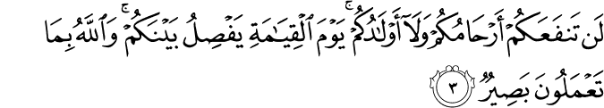 لَن تَنفَعَكُمْ أَرْحَامُكُمْ وَلَا أَوْلَادُكُمْ ۚ يَوْمَ الْقِيَامَةِ يَفْصِلُ بَيْنَكُمْ ۚ وَاللَّهُ بِمَا تَعْمَلُونَ بَصِيرٌ