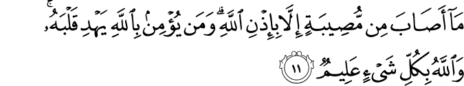 مَا أَصَابَ مِن مُّصِيبَةٍ إِلَّا بِإِذْنِ اللَّهِ ۗ وَمَن يُؤْمِن بِاللَّهِ يَهْدِ قَلْبَهُ ۚ وَاللَّهُ بِكُلِّ شَيْءٍ عَلِيمٌ