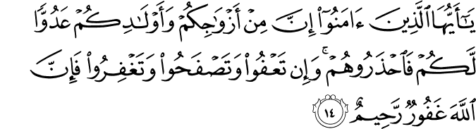 يَا أَيُّهَا الَّذِينَ آمَنُوا إِنَّ مِنْ أَزْوَاجِكُمْ وَأَوْلَادِكُمْ عَدُوًّا لَّكُمْ فَاحْذَرُوهُمْ ۚ وَإِن تَعْفُوا وَتَصْفَحُوا وَتَغْفِرُوا فَإِنَّ اللَّهَ غَفُورٌ رَّحِيمٌ