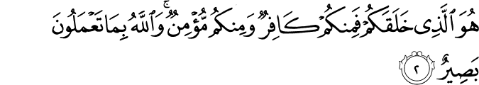 هُوَ الَّذِي خَلَقَكُمْ فَمِنكُمْ كَافِرٌ وَمِنكُم مُّؤْمِنٌ ۚ وَاللَّهُ بِمَا تَعْمَلُونَ بَصِيرٌ