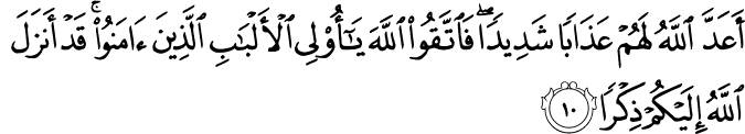 أَعَدَّ اللَّهُ لَهُمْ عَذَابًا شَدِيدًا ۖ فَاتَّقُوا اللَّهَ يَا أُولِي الْأَلْبَابِ الَّذِينَ آمَنُوا ۚ قَدْ أَنزَلَ اللَّهُ إِلَيْكُمْ ذِكْرًا