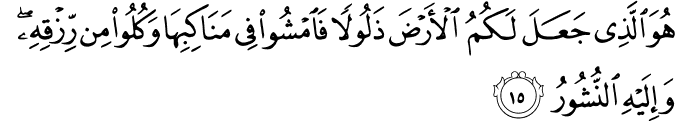 هُوَ الَّذِي جَعَلَ لَكُمُ الْأَرْضَ ذَلُولًا فَامْشُوا فِي مَنَاكِبِهَا وَكُلُوا مِن رِّزْقِهِ ۖ وَإِلَيْهِ النُّشُورُ