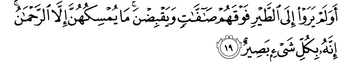 أَوَلَمْ يَرَوْا إِلَى الطَّيْرِ فَوْقَهُمْ صَافَّاتٍ وَيَقْبِضْنَ ۚ مَا يُمْسِكُهُنَّ إِلَّا الرَّحْمَـٰنُ ۚ إِنَّهُ بِكُلِّ شَيْءٍ بَصِيرٌ