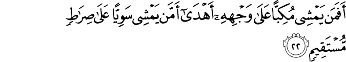 أَفَمَن يَمْشِي مُكِبًّا عَلَىٰ وَجْهِهِ أَهْدَىٰ أَمَّن يَمْشِي سَوِيًّا عَلَىٰ صِرَاطٍ مُّسْتَقِيمٍ