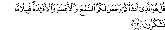 قُلْ هُوَ الَّذِي أَنشَأَكُمْ وَجَعَلَ لَكُمُ السَّمْعَ وَالْأَبْصَارَ وَالْأَفْئِدَةَ ۖ قَلِيلًا مَّا تَشْكُرُونَ
