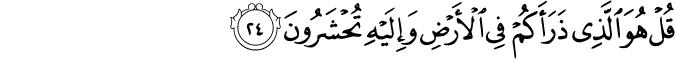 قُلْ هُوَ الَّذِي ذَرَأَكُمْ فِي الْأَرْضِ وَإِلَيْهِ تُحْشَرُونَ