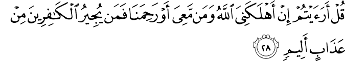 قُلْ أَرَأَيْتُمْ إِنْ أَهْلَكَنِيَ اللَّهُ وَمَن مَّعِيَ أَوْ رَحِمَنَا فَمَن يُجِيرُ الْكَافِرِينَ مِنْ عَذَابٍ أَلِيمٍ