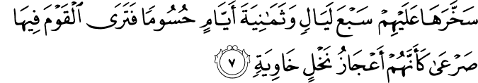سَخَّرَهَا عَلَيْهِمْ سَبْعَ لَيَالٍ وَثَمَانِيَةَ أَيَّامٍ حُسُومًا فَتَرَى الْقَوْمَ فِيهَا صَرْعَىٰ كَأَنَّهُمْ أَعْجَازُ نَخْلٍ خَاوِيَةٍ