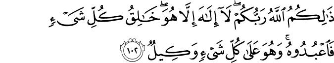 ذَٰلِكُمُ اللَّهُ رَبُّكُمْ ۖ لَا إِلَـٰهَ إِلَّا هُوَ ۖ خَالِقُ كُلِّ شَيْءٍ فَاعْبُدُوهُ ۚ وَهُوَ عَلَىٰ كُلِّ شَيْءٍ وَكِيلٌ