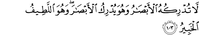 لَّا تُدْرِكُهُ الْأَبْصَارُ وَهُوَ يُدْرِكُ الْأَبْصَارَ ۖ وَهُوَ اللَّطِيفُ الْخَبِيرُ