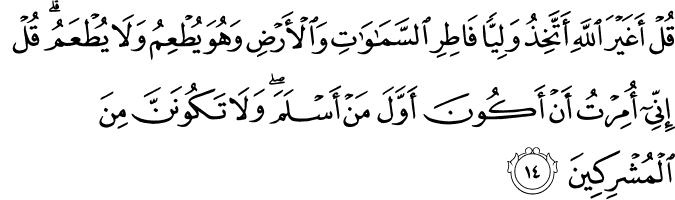 قُلْ أَغَيْرَ اللَّهِ أَتَّخِذُ وَلِيًّا فَاطِرِ السَّمَاوَاتِ وَالْأَرْضِ وَهُوَ يُطْعِمُ وَلَا يُطْعَمُ ۗ قُلْ إِنِّي أُمِرْتُ أَنْ أَكُونَ أَوَّلَ مَنْ أَسْلَمَ ۖ وَلَا تَكُونَنَّ مِنَ الْمُشْرِكِينَ