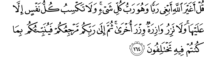 قُلْ أَغَيْرَ اللَّهِ أَبْغِي رَبًّا وَهُوَ رَبُّ كُلِّ شَيْءٍ ۚ وَلَا تَكْسِبُ كُلُّ نَفْسٍ إِلَّا عَلَيْهَا ۚ وَلَا تَزِرُ وَازِرَةٌ وِزْرَ أُخْرَىٰ ۚ ثُمَّ إِلَىٰ رَبِّكُم مَّرْجِعُكُمْ فَيُنَبِّئُكُم بِمَا كُنتُمْ فِيهِ تَخْتَلِفُونَ