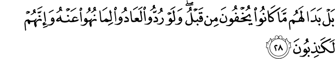 بَلْ بَدَا لَهُم مَّا كَانُوا يُخْفُونَ مِن قَبْلُ ۖ وَلَوْ رُدُّوا لَعَادُوا لِمَا نُهُوا عَنْهُ وَإِنَّهُمْ لَكَاذِبُونَ