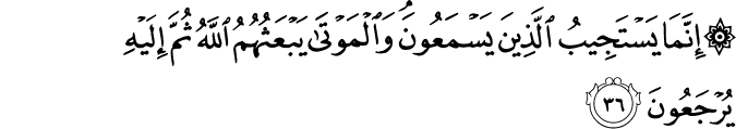 إِنَّمَا يَسْتَجِيبُ الَّذِينَ يَسْمَعُونَ ۘ وَالْمَوْتَىٰ يَبْعَثُهُمُ اللَّهُ ثُمَّ إِلَيْهِ يُرْجَعُونَ