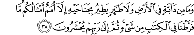 وَمَا مِن دَابَّةٍ فِي الْأَرْضِ وَلَا طَائِرٍ يَطِيرُ بِجَنَاحَيْهِ إِلَّا أُمَمٌ أَمْثَالُكُم ۚ مَّا فَرَّطْنَا فِي الْكِتَابِ مِن شَيْءٍ ۚ ثُمَّ إِلَىٰ رَبِّهِمْ يُحْشَرُونَ