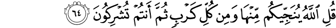 قُلِ اللَّهُ يُنَجِّيكُم مِّنْهَا وَمِن كُلِّ كَرْبٍ ثُمَّ أَنتُمْ تُشْرِكُونَ
