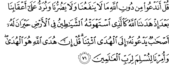 قُلْ أَنَدْعُو مِن دُونِ اللَّهِ مَا لَا يَنفَعُنَا وَلَا يَضُرُّنَا وَنُرَدُّ عَلَىٰ أَعْقَابِنَا بَعْدَ إِذْ هَدَانَا اللَّهُ كَالَّذِي اسْتَهْوَتْهُ الشَّيَاطِينُ فِي الْأَرْضِ حَيْرَانَ لَهُ أَصْحَابٌ يَدْعُونَهُ إِلَى الْهُدَى ائْتِنَا ۗ قُلْ إِنَّ هُدَى اللَّهِ هُوَ الْهُدَىٰ ۖ وَأُمِرْنَا لِنُسْلِمَ لِرَبِّ الْعَالَمِينَ