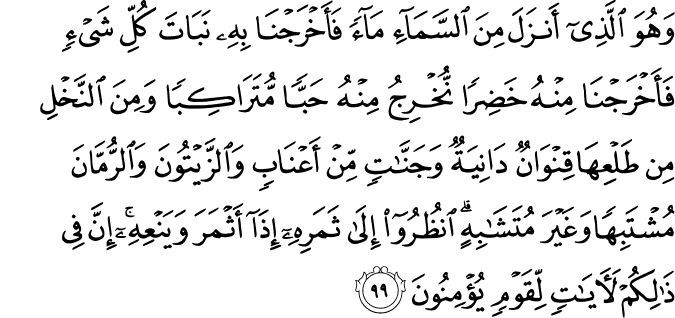 وَهُوَ الَّذِي أَنزَلَ مِنَ السَّمَاءِ مَاءً فَأَخْرَجْنَا بِهِ نَبَاتَ كُلِّ شَيْءٍ فَأَخْرَجْنَا مِنْهُ خَضِرًا نُّخْرِجُ مِنْهُ حَبًّا مُّتَرَاكِبًا وَمِنَ النَّخْلِ مِن طَلْعِهَا قِنْوَانٌ دَانِيَةٌ وَجَنَّاتٍ مِّنْ أَعْنَابٍ وَالزَّيْتُونَ وَالرُّمَّانَ مُشْتَبِهًا وَغَيْرَ مُتَشَابِهٍ ۗ انظُرُوا إِلَىٰ ثَمَرِهِ إِذَا أَثْمَرَ وَيَنْعِهِ ۚ إِنَّ فِي ذَٰلِكُمْ لَآيَاتٍ لِّقَوْمٍ يُؤْمِنُونَ